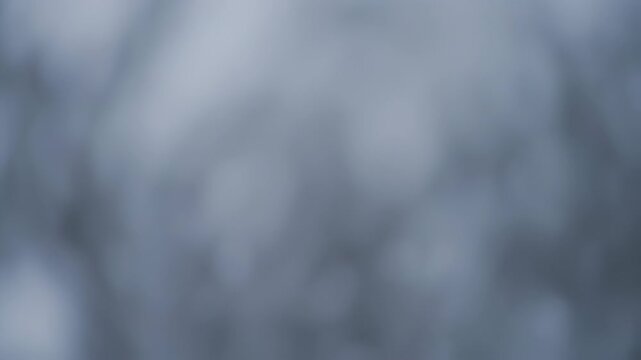 Out-of-focus gray-blue background