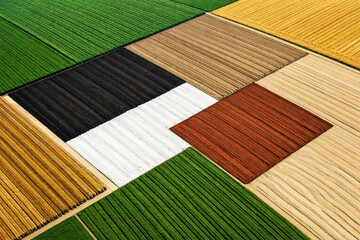 Aerial View of Multi Colored Geometric Agricultural Fields and Farmland