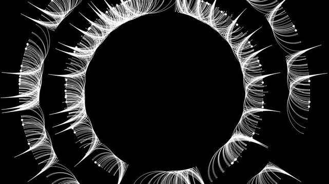 Mesmerizing monochrome animation featuring concentric rings of wispy, feather-like white lines. The lines fan out from hidden nodes to form delicate, circular patterns that resemble an eye's iris or a
