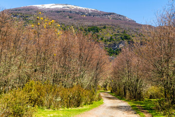 On the Road, Cerro Tronador, Bariloche, Rio Negro Province, Patagonia, Argentina
