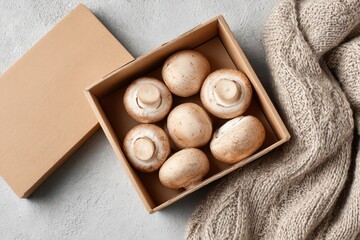Fresh mushrooms in cardboard box with knitted blanket on grey background
