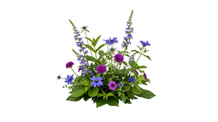 Beautiful bouquet of purple and blue flowers