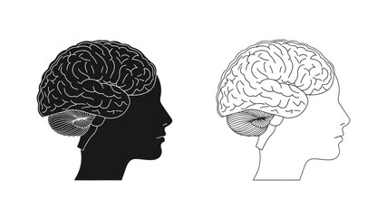 Human brain illustrations with side profiles observing the complexities within