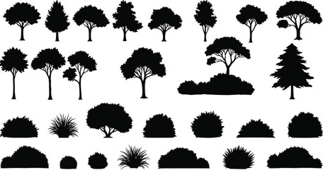 Silhouette of trees and plants, forest vegetation illustration, natural landscape design, coniferous and deciduous trees, bushes and grasses artwork © MD SAKIL