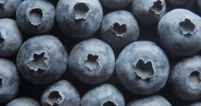 Blueberries close up studio shot over rotating