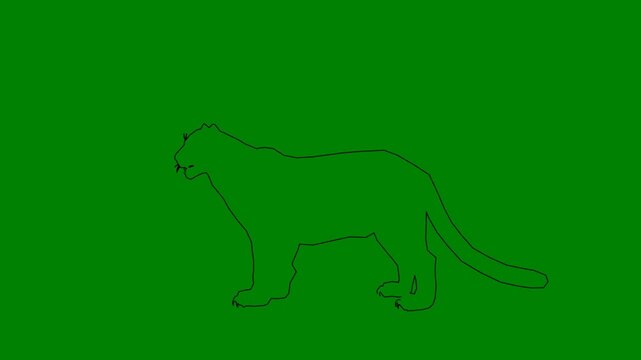 How to draw a panther and drawing of cat on green background green screen animated chromakey background backgrounds style frame layers cartoonish colorful depth creative movement composition