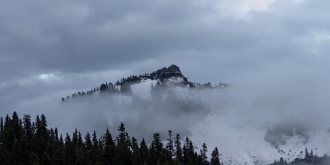 Mount Rainier National Park under snow, Western Washington State, USA.