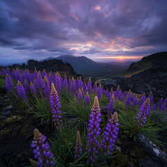 sunrise in the mountains