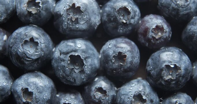 Blueberries with water drops close up studio shot over rotating