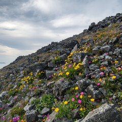 mountain landscape with rocks