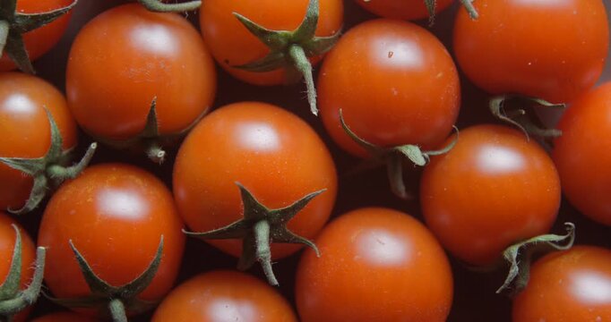 Cherry tomatoes with water drops close up studio shot over rotating
