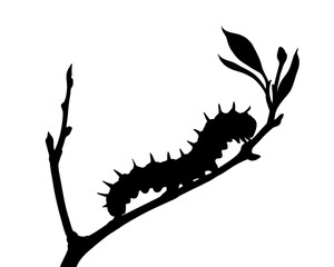 Silhouette of a caterpillar on a twig, vector illustration, type 6
