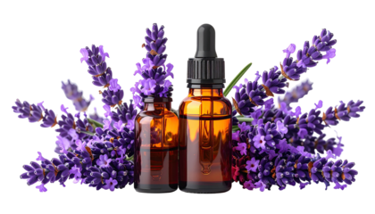 Amber bottles of oil with lavender sprigs, dark backdrop