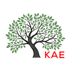 Obraz premium Green Tree of Life Logo Design KAE Later Logo , Natural Environment Tree Branding, Sustainable Tree Logo 