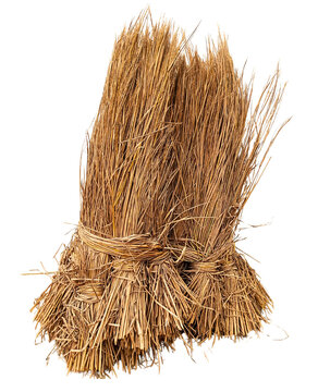Dry Rice Straw Bundle PNG - Isolated Hay Sheaf and Agricultural Material on Transparent Background A high-resolution PNG graphic of a traditional dry rice straw bundle, also known as a hay sheaf