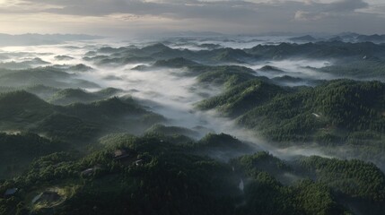 misty mountain valley with sea of clouds, soft sunlight, cinematic landscape, no people 