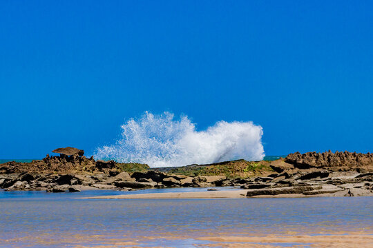 Natureza, Paisagem, Mar, Praia, paraiso, coqueiro, golfinhos, mar, passaros, vida, ver&atilde;o, Nordeste, Brasil