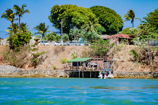Natureza, Paisagem, Mar, Praia, paraiso, coqueiro, golfinhos, mar, passaros, vida, ver&atilde;o, Nordeste, Brasil