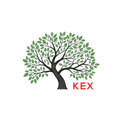 Obraz premium Green Tree of Life Logo Design KEX Later Logo , Natural Environment Tree Branding, Sustainable Tree LogoKEX tree logo, KEX tree of life, KEX green tree, KEX nature logo, KEX eco logo, KEX environme