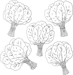 Set of Four Black and White Bunches of Leafy Greens