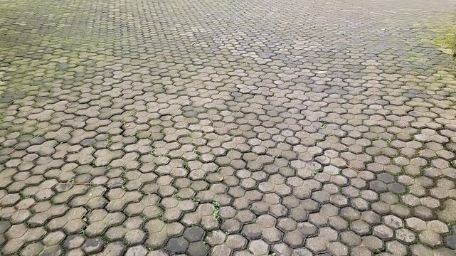Paved path with eco-friendly tiles in serene surroundings. Clean cobblestone walkway in natural outdoor setting. Eco-conscious paving with moss-covered tiles on a path.