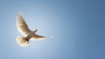 Bird in flight against clear blue sky