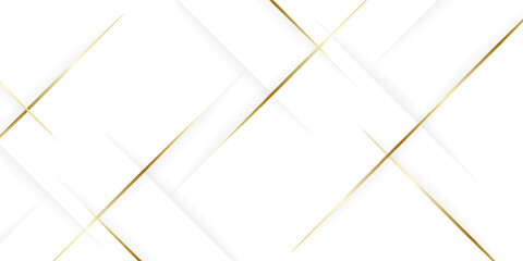 White luxury abstract background with golden lines and shadows. Premium vector illustration
