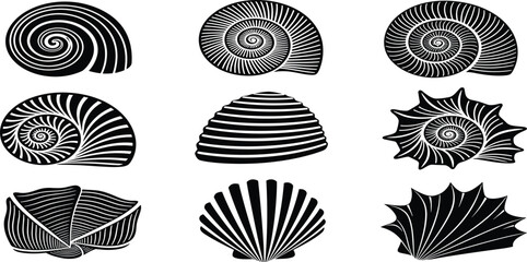 Seashell silhouette collection set, decorative sea shells and spiral snail icons, ocean beach nature elements vector illustration, nautical marine life black graphics © MdMeherul