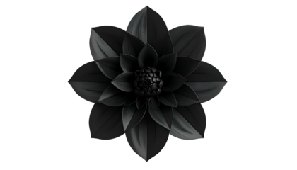 A perfectly centered, grayscale dahlia flower on a solid black background