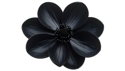 A glossy, all-black, photorealistic flower with layered petals, centered on black
