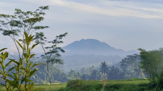 Misty morning view with majestic tropical mountains above green rice fields. Sunrise nature video