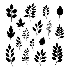 Set of black leaf silhouettes and botanical floral elements on white background