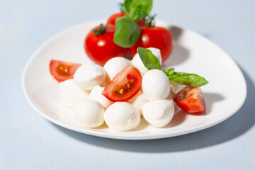 Fresh mozzarella and juicy tomatoes with basil on a plate