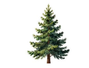 Tall pine tree with green needles and brown trunk