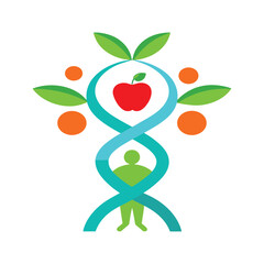 Human Dna Tree Growing Healthy Organs Like Fruit