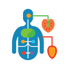 Digital Biotech Anatomy Chart Replacing Traditional Medical Diagrams