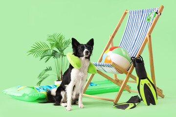 Cute Border Collie dog with neck pillow, deckchair and travelling accessories on green background © Pixel-Shot