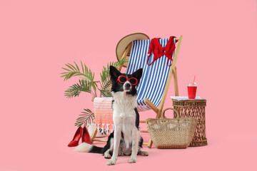 Cute Border Collie dog in sunglasses with deckchair and travelling accessories on pink background