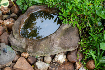 Ornamental rock birdbath in a residential garden to support wild birds