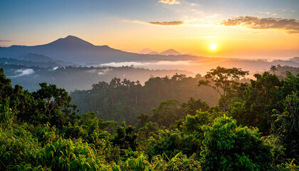 A view of the jungle from the top of the mountain beautiful scenery of trees growing on mountain
10