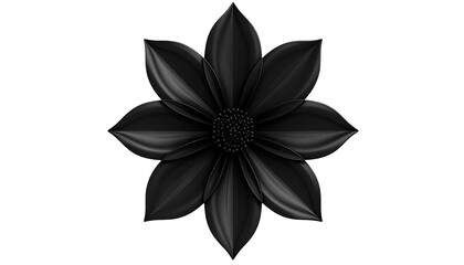 A stylized, glossy black flower against a stark black background