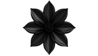A stylized, glossy black flower against a stark black background