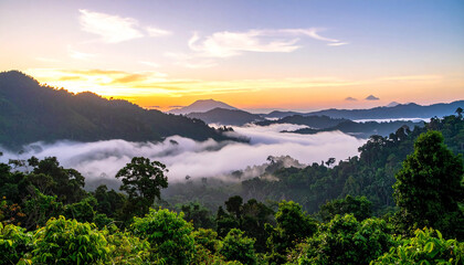 A view of the jungle from the top of the mountain beautiful scenery of trees growing on mountain
7