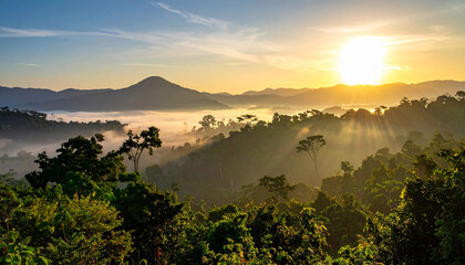 A view of the jungle from the top of the mountain beautiful scenery of trees growing on mountain
4