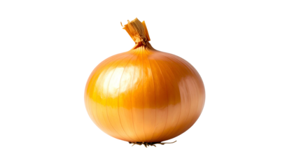 A whole, golden onion, isolated against a solid black background, showing details