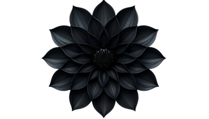 A detailed digital illustration of a black dahlia flower against a dark background