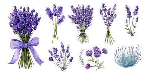 Delicate lavender bouquets and stems