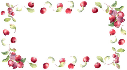 Watercolor lingonberry frame with green leaves and red berries on white background. Hand drawn botanical art for greeting card, invitation, or festive design. Wild red berries for packaging superfood.