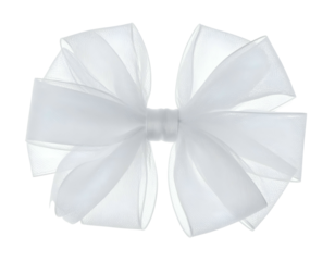 A close-up of a large white organza bow, symmetrical, slightly translucent