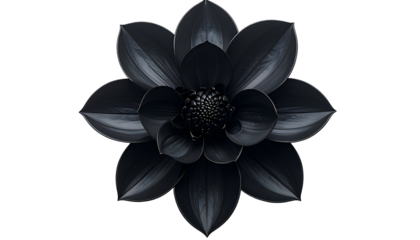 Top view of a fully bloomed black flower on black background, intricate petal details